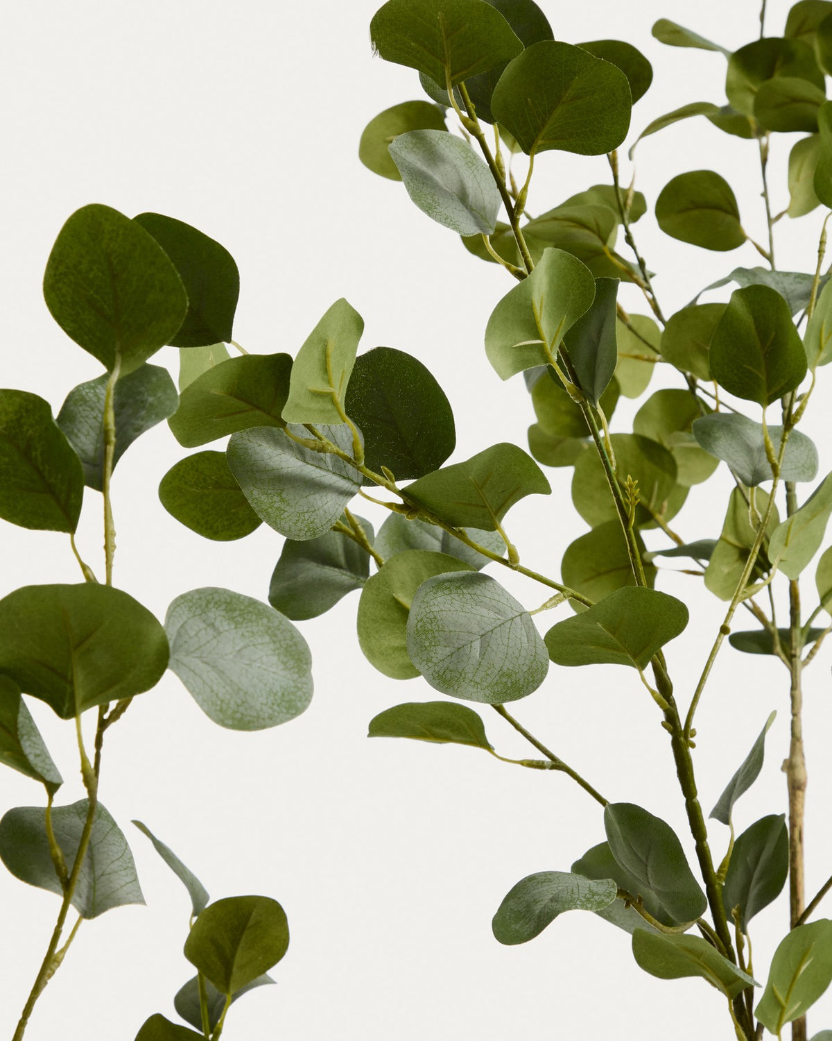 Künstlicher Eucalyptus-Baum mit schwarzem Blumentopf, 210 cm hoch, aus Polyethylen und Polyurethan, mit geschwungenen grünen Blättern.