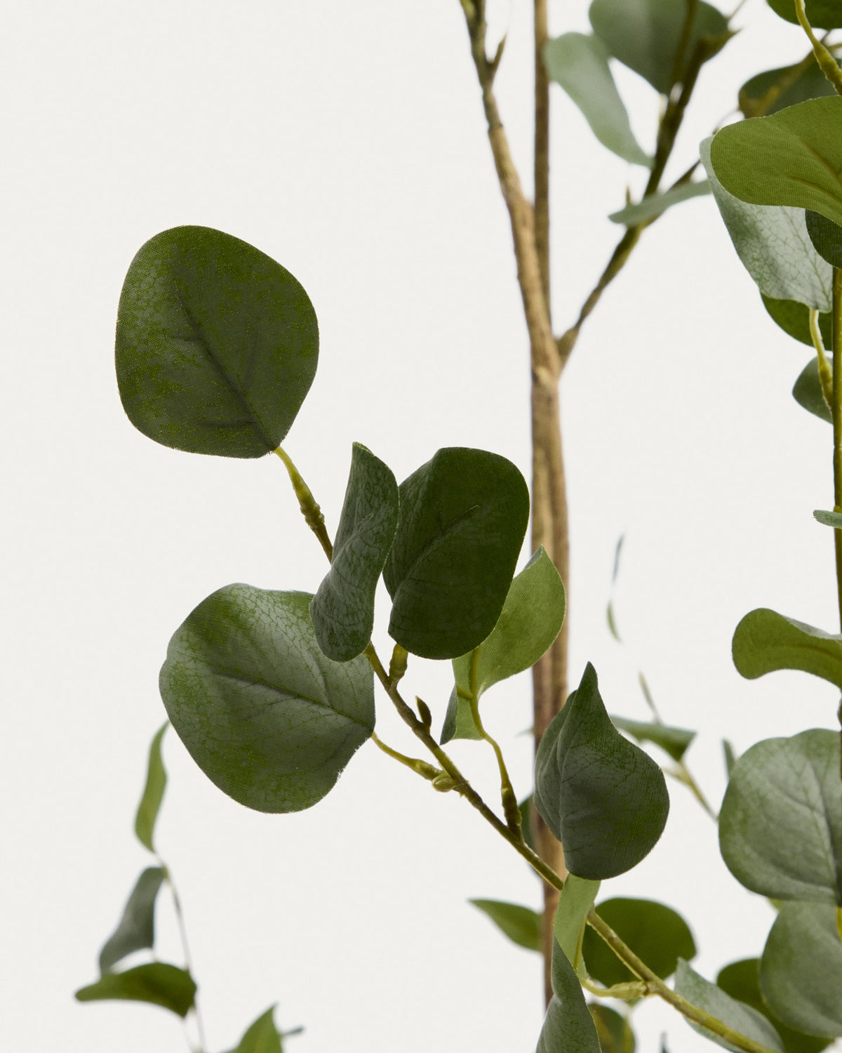 Künstlicher Eucalyptus-Baum mit schwarzem Blumentopf, 210 cm hoch, aus Polyethylen und Polyurethan, mit geschwungenen grünen Blättern.