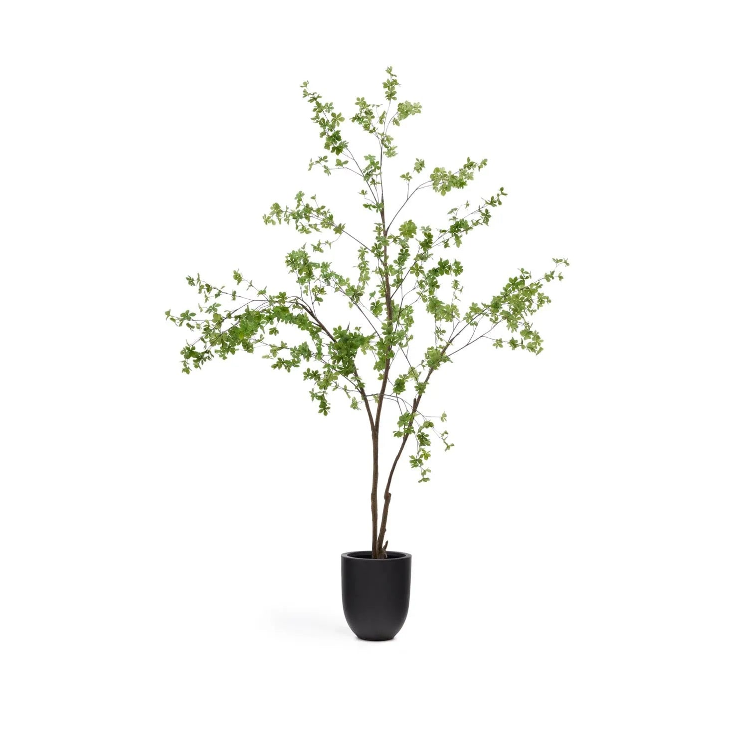 Kunstbaum Enkianthus 214 cm von Kave Home: Eleganz ohne Pflegeaufwand, mit schwarzem Übertopf, ideal für jeden Raum.