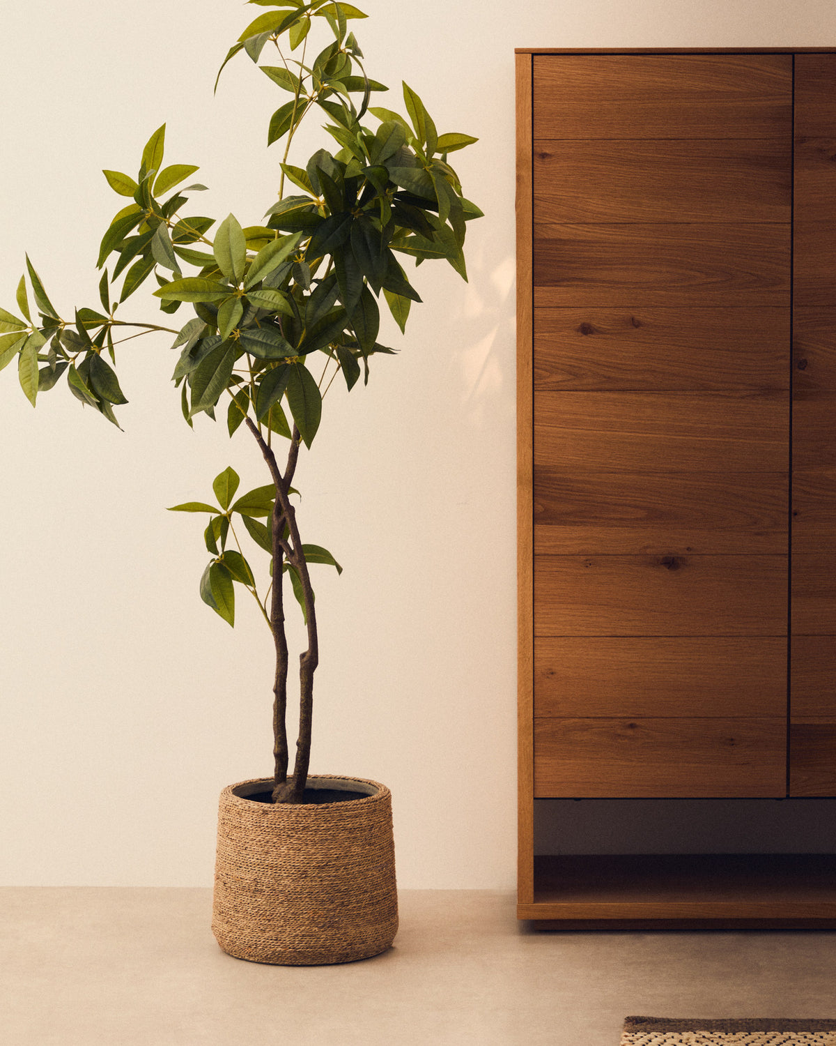 Kunstbaum Pachira mit schwarzem Topf 180 cm in Grün präsentiert im Onlineshop von KAQTU Design AG. Kunstpflanze ist von Kave Home