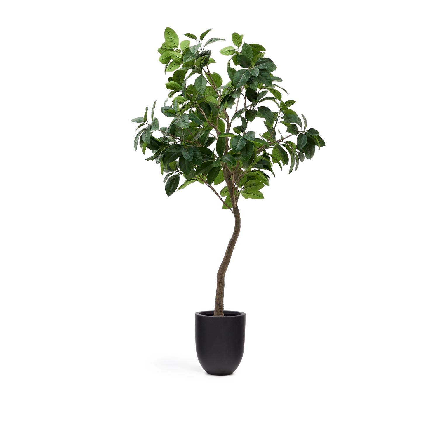 Kunstbaum Ficus mit schwarzem Topf 210 cm in Grün, Braun präsentiert im Onlineshop von KAQTU Design AG. Kunstpflanze ist von Kave Home