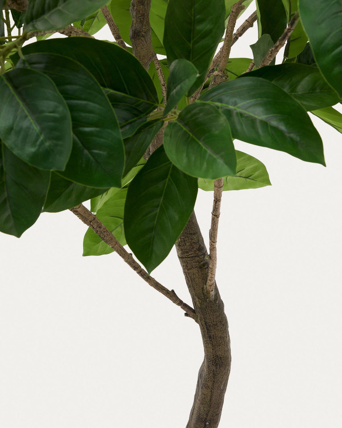 Kunstbaum Ficus mit schwarzem Topf 210 cm in Grün, Braun präsentiert im Onlineshop von KAQTU Design AG. Kunstpflanze ist von Kave Home