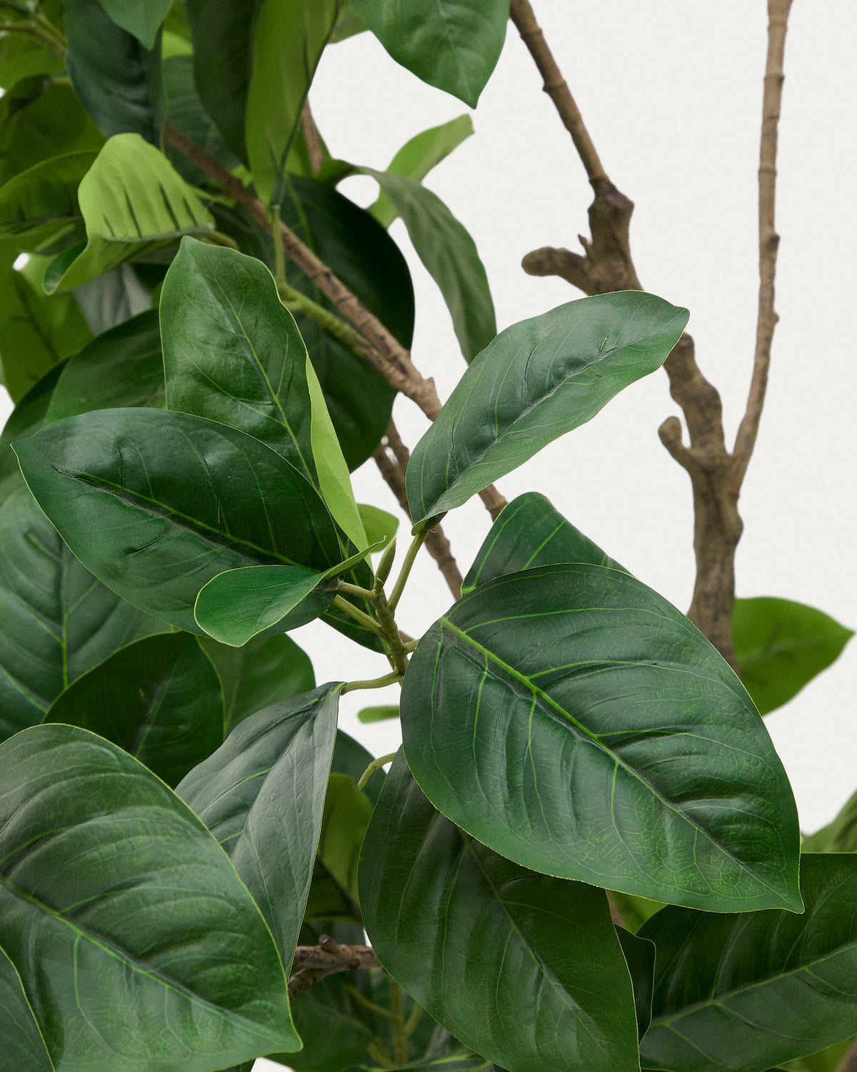 Kunstbaum Ficus mit schwarzem Topf 210 cm in Grün, Braun präsentiert im Onlineshop von KAQTU Design AG. Kunstpflanze ist von Kave Home