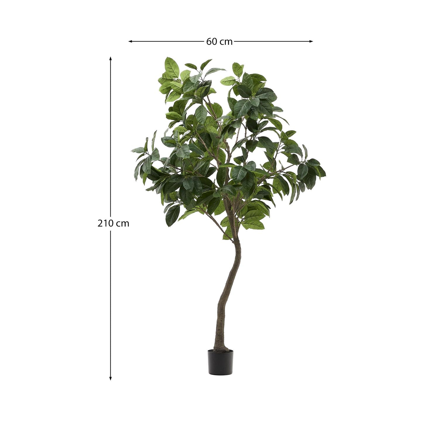 Kunstbaum Ficus mit schwarzem Topf 210 cm in Grün, Braun präsentiert im Onlineshop von KAQTU Design AG. Kunstpflanze ist von Kave Home