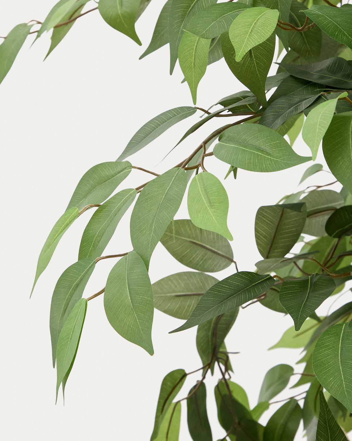 Kunstbaum Ficus mit schwarzem Topf 180 cm in Grün, Braun präsentiert im Onlineshop von KAQTU Design AG. Kunstpflanze ist von Kave Home