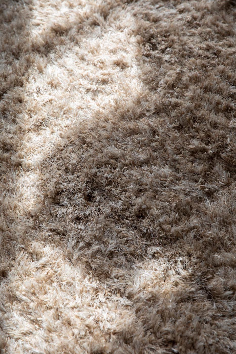 Entdecken Sie den Dutchbone Teppich Hairy 160x230 cm – ein eleganter, hochfloriger Teppich, der Komfort und Stil in Ihr Zuhause bringt.