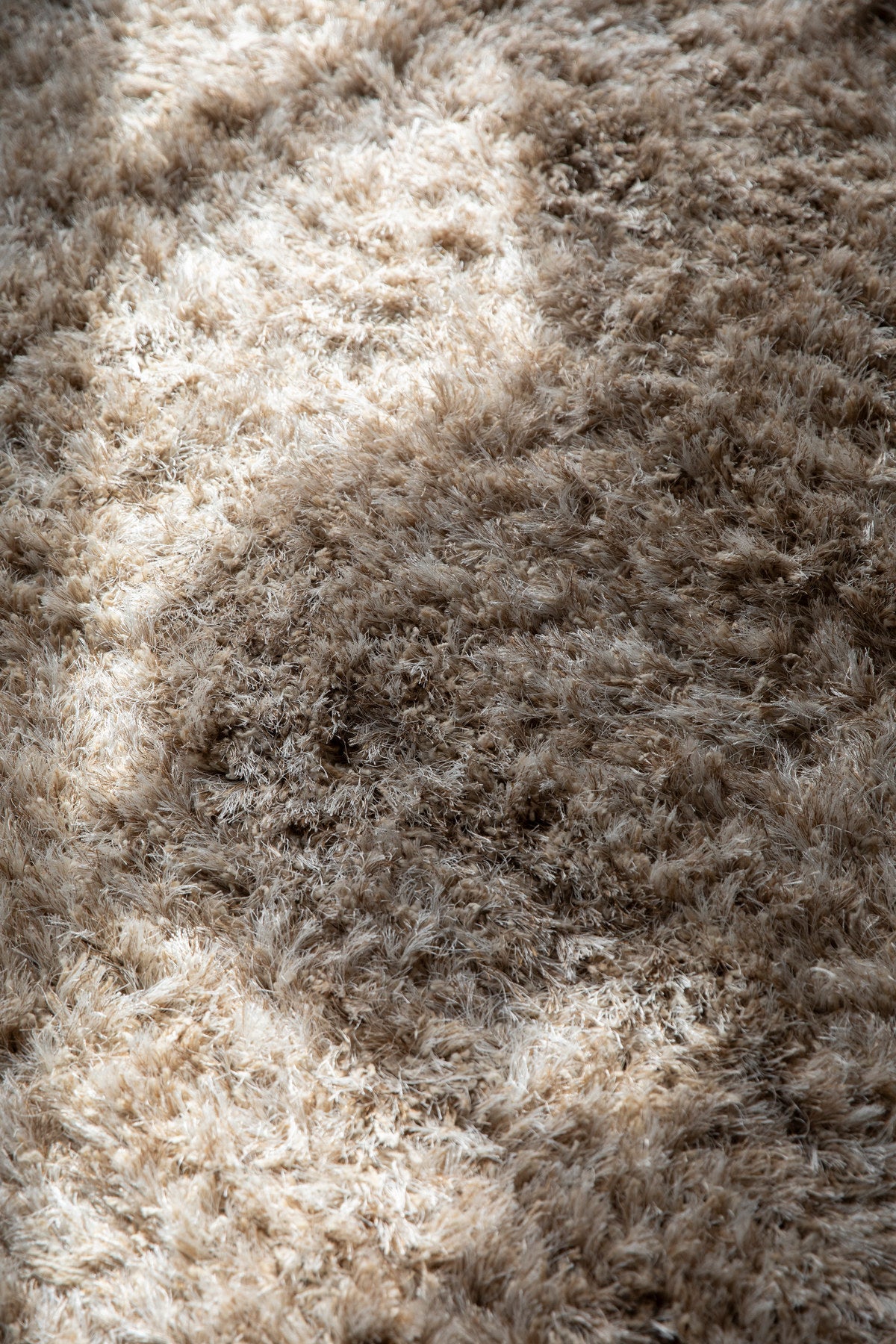 Teppich Hairy 160x230 in Beige präsentiert im Onlineshop von KAQTU Design AG. Teppich ist von Dutchbone