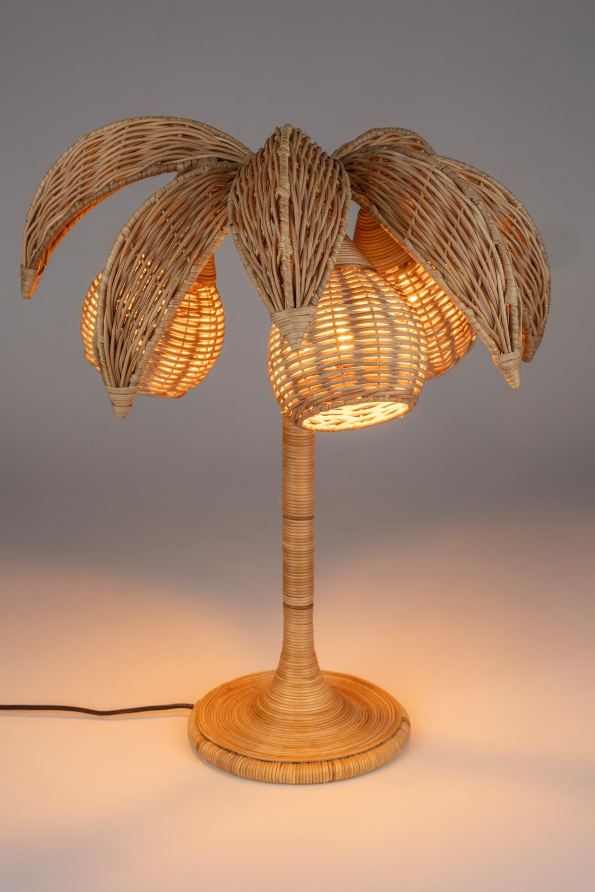 Tischlampe Palmtree in Braun präsentiert im Onlineshop von KAQTU Design AG. Tischleuchte ist von Dutchbone