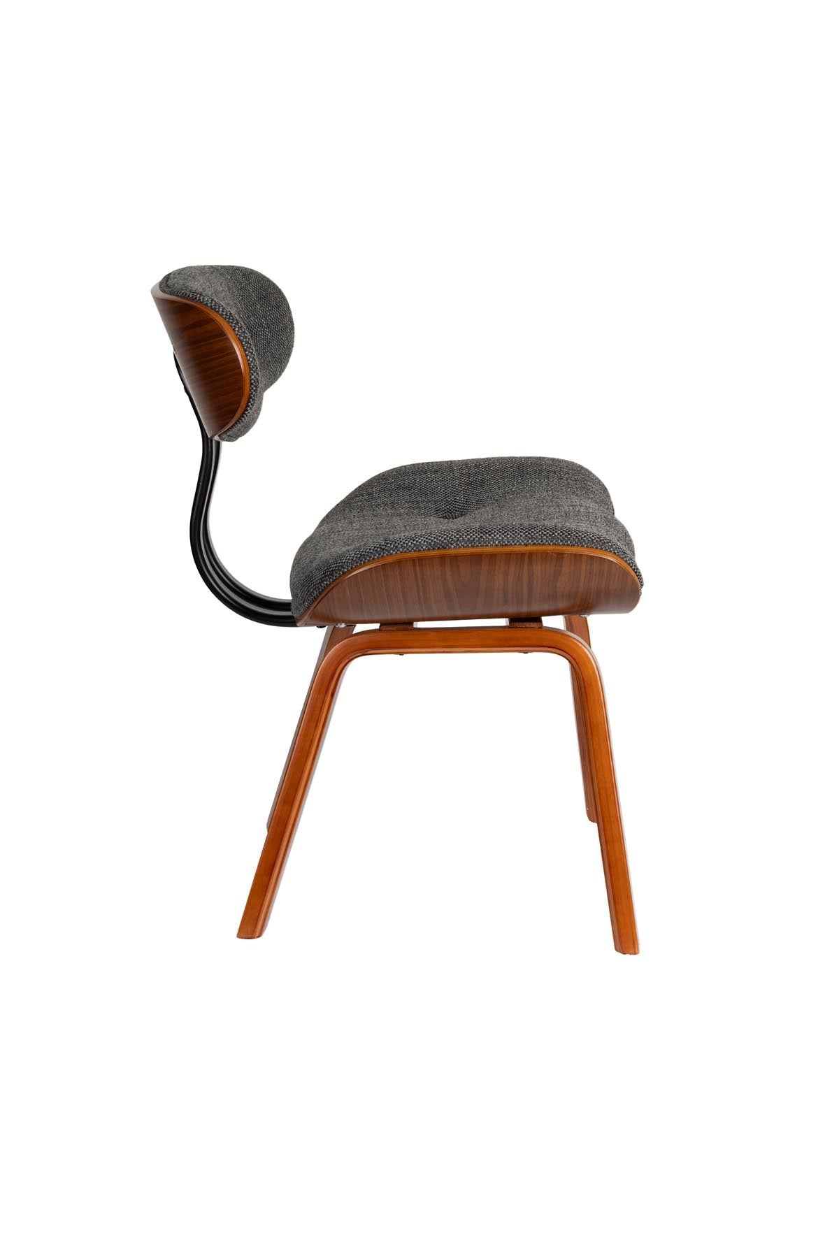 Stuhl Blackwood Grey in Schwarz präsentiert im Onlineshop von KAQTU Design AG. Schalenstuhl ist von Dutchbone