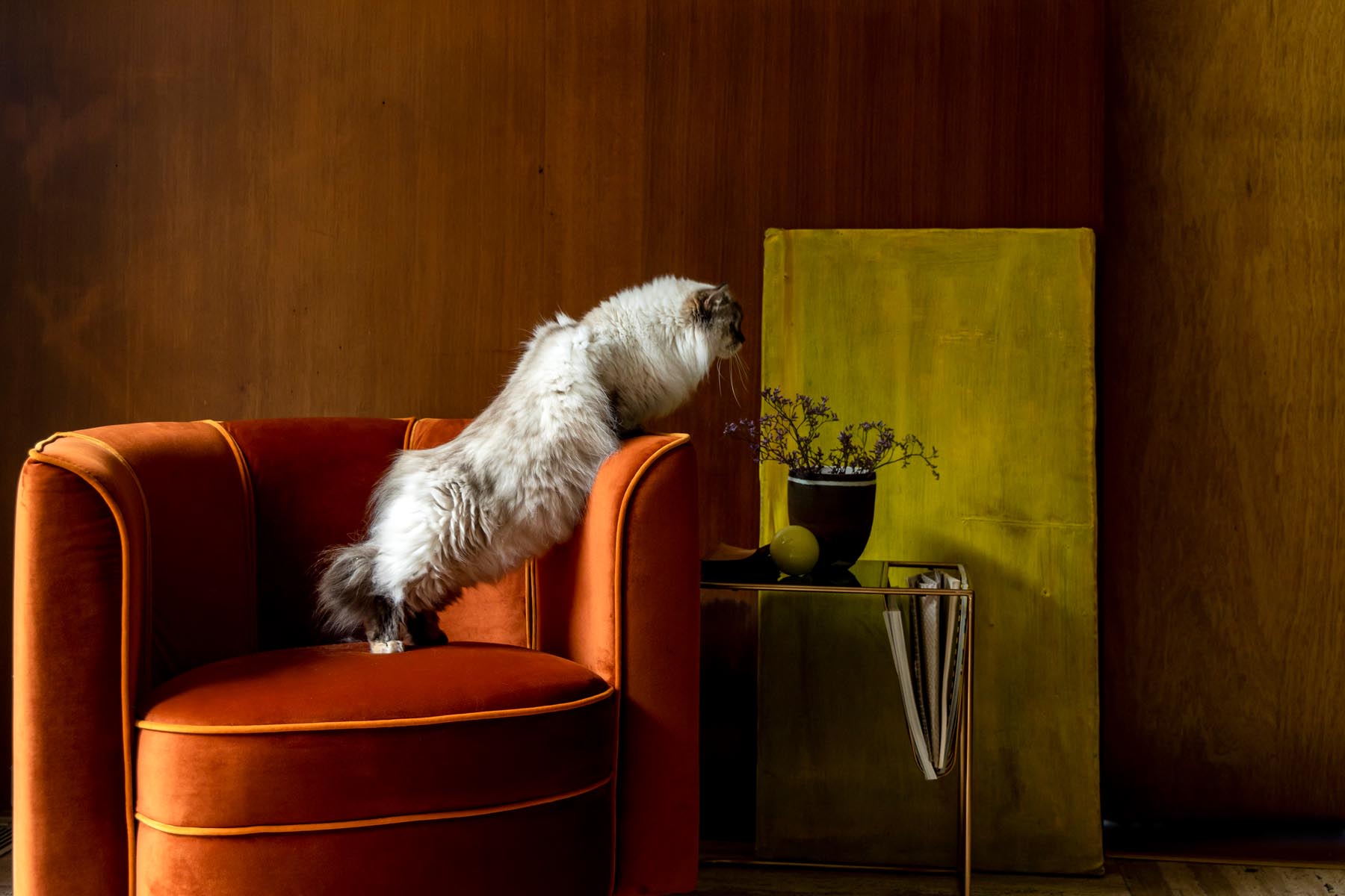 Loungesessel Flower in Orange präsentiert im Onlineshop von KAQTU Design AG. Sessel ist von Dutchbone
