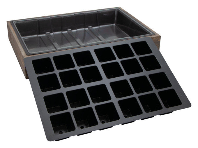SIENA GARDEN Anzuchtvollholzkiste mit 24 Mulden in Transparent, Grau präsentiert im Onlineshop von KAQTU Design AG. Anzuchttopf ist von SIENA GARDEN