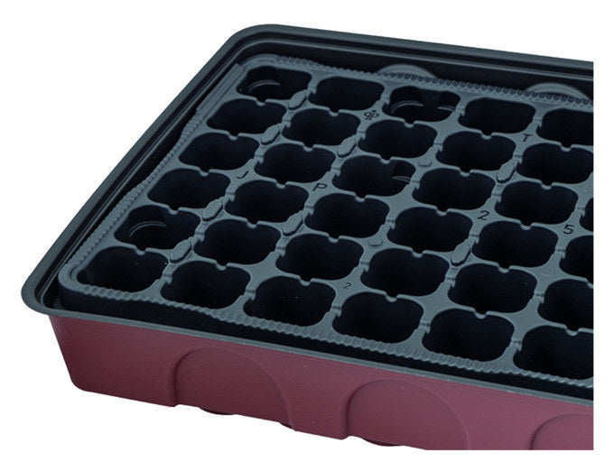 SIENA GARDEN Anzuchthaus XL 55x28x7 cm in Transparent, Bordeaux, Rot präsentiert im Onlineshop von KAQTU Design AG. Anzuchttopf ist von SIENA GARDEN