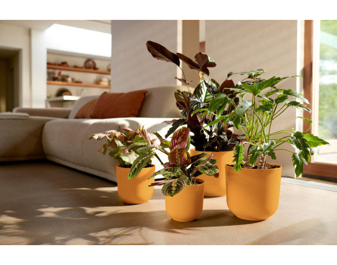 ELHO Pflanzengefäss Jazz rund ø 30 cm amber gelb in Amber gelb, Gelb präsentiert im Onlineshop von KAQTU Design AG. Übertopf ist von ELHO