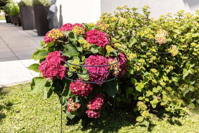 WINDHAGER Deko-Pflanzstütze Metall Arrow anthrazit 90x40 cm in Anthrazit, Grau präsentiert im Onlineshop von KAQTU Design AG. Gartenutensilien ist von WINDHAGER