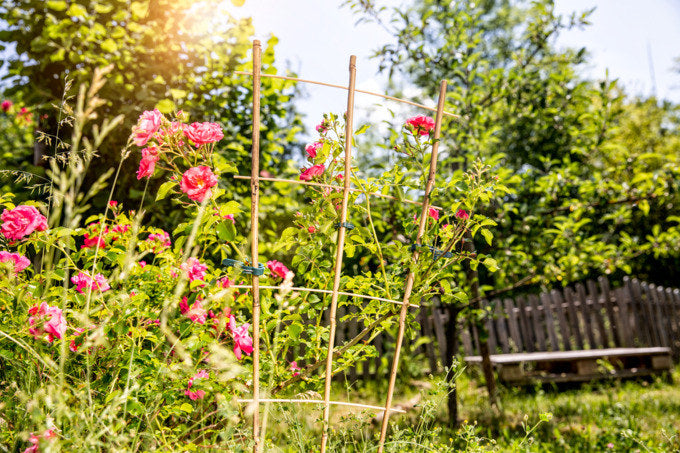 WINDHAGER Blumenstütze Bambus 150x50 cm in Natur, Braun präsentiert im Onlineshop von KAQTU Design AG. Gartenutensilien ist von WINDHAGER