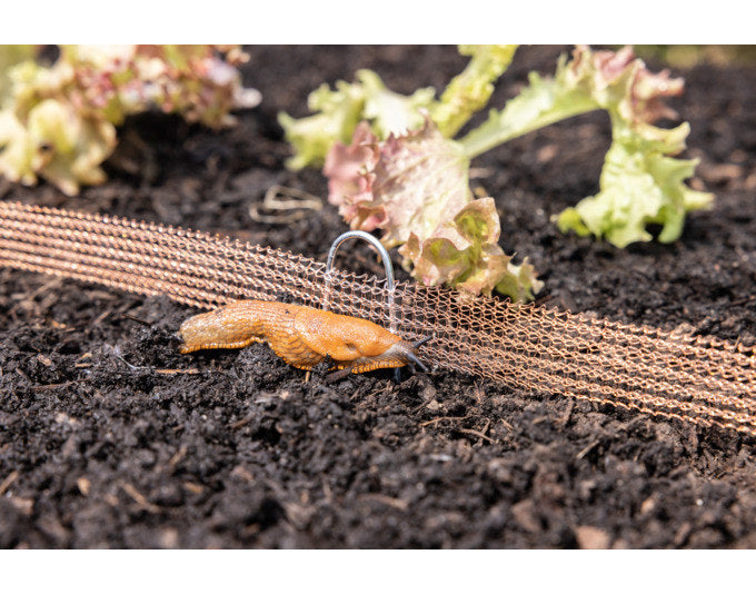 WINDHAGER Schnecken-Abwehrzaun 8 m in  präsentiert im Onlineshop von KAQTU Design AG. Insektenabwehr ist von WINDHAGER