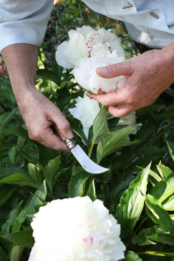 OPINEL Messer Nr. 8 Gartenhippe Pfropfmesser Buche in Box 8 cm in Silber, Natur, Braun präsentiert im Onlineshop von KAQTU Design AG. Küchenmesser ist von OPINEL