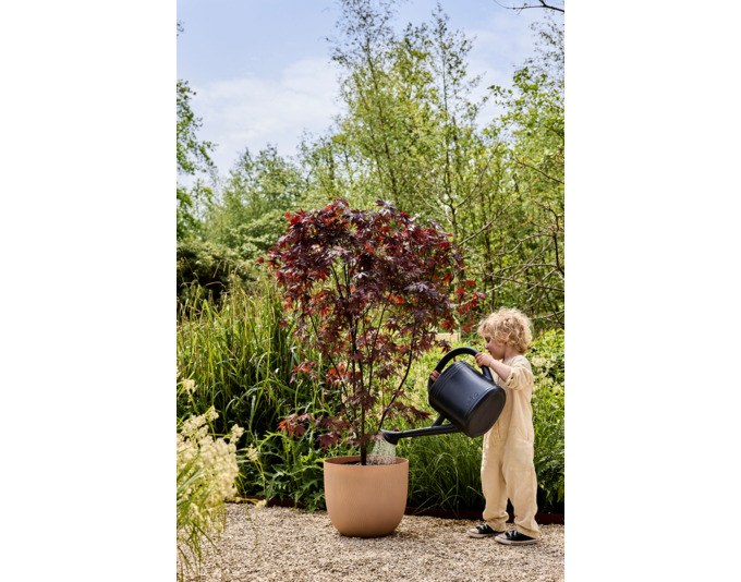 Runder ELHO Blumentopf Sereh mit Durchmesser 47 cm und Höhe 25.8 cm, Farbe kühler Ton, aus recyceltem Kunststoff mit grobkörniger Oberflächenstruktur.