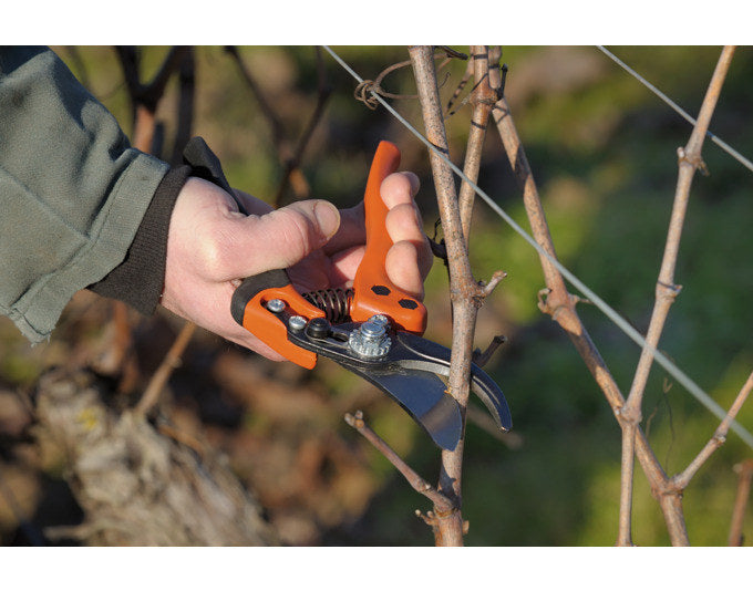BAHCO Rebschere PX-M2-L Ergo fester Griff Schneidkapazität 2 medium für Linkshänder in Schwarz, Rot präsentiert im Onlineshop von KAQTU Design AG. Gartenscheren ist von BAHCO