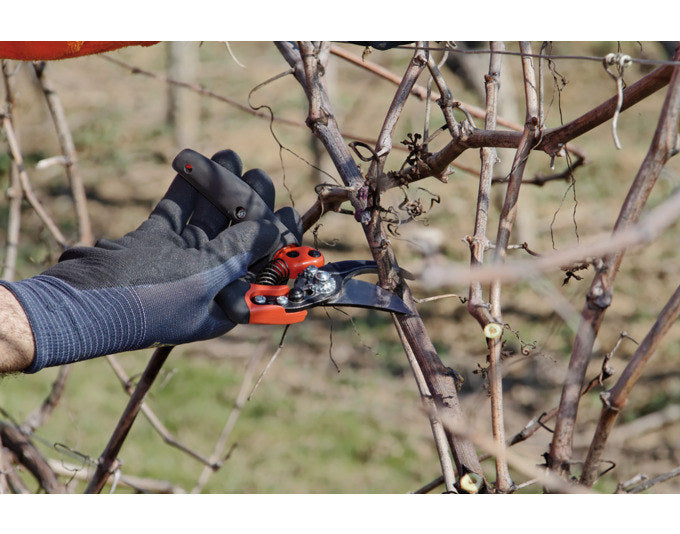 BAHCO Rebschere PXR-S2 Ergo Rollgriff Schneidkapazität 2 klein in Schwarz, Rot präsentiert im Onlineshop von KAQTU Design AG. Gartenscheren ist von BAHCO