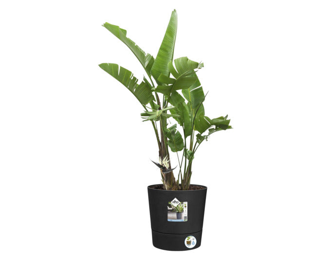 Schwarzes ELHO Pflanzengefäss Foss mit einem Durchmesser von 43 cm, ideal für den Outdoor-Bereich und stilvolle Pflanzenpräsentation.
