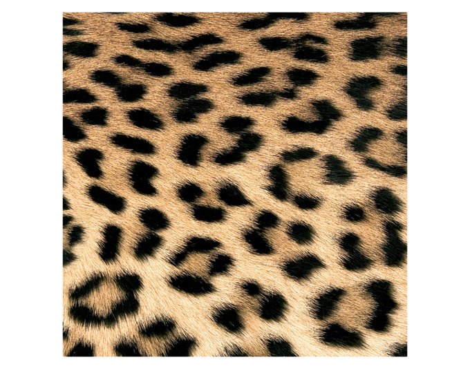 Braune, dekorierte PPD Papierserviette Leopard Couture aus 100% Tissue, dreilagig, quadratisch gefaltet, Format 33x33 cm.
