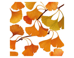 <tc>PPD</tc> Tovaglioli Ginko 33x33 cm