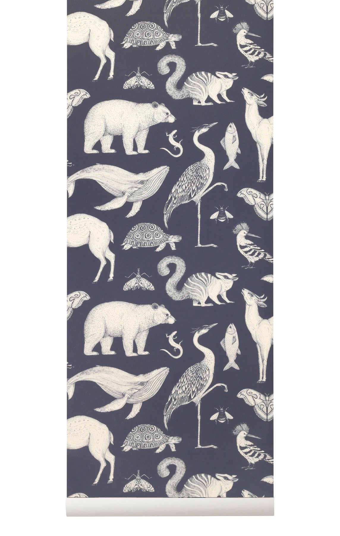 Sfondo Animali - Katie Scott