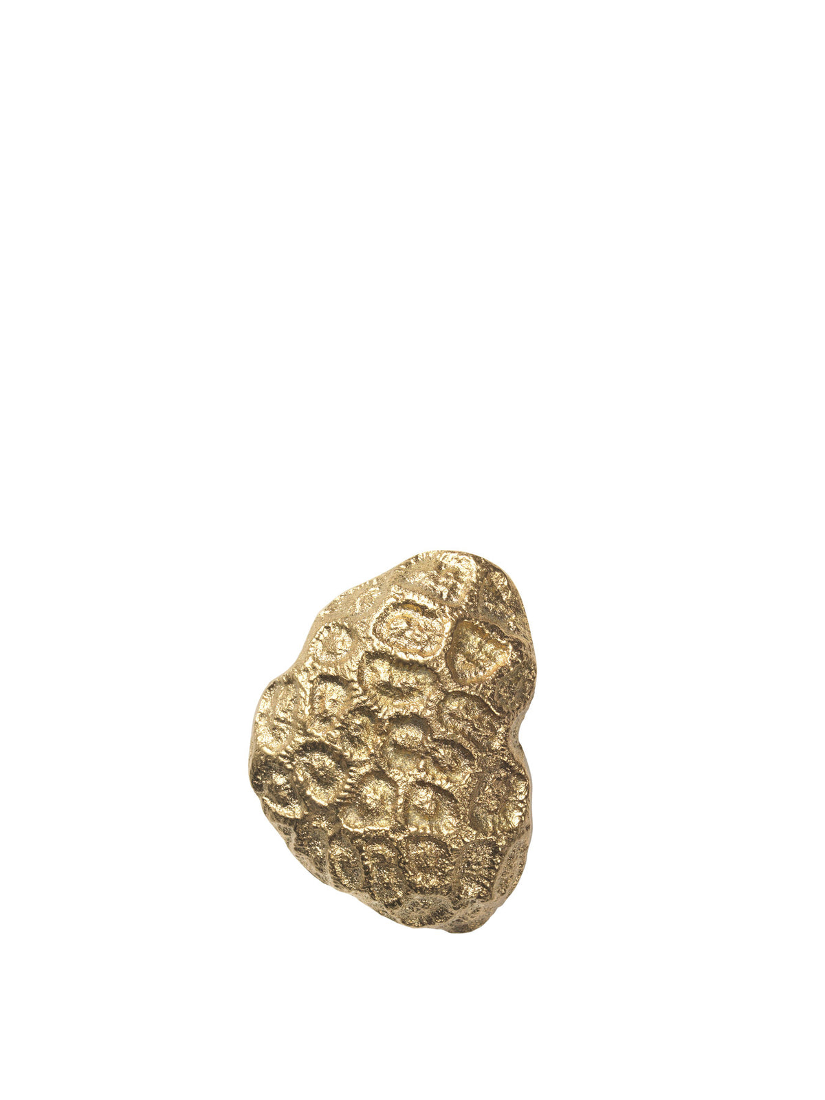Comber Coral Haken in Messing präsentiert im Onlineshop von KAQTU Design AG. Kleiderhaken ist von Ferm Living