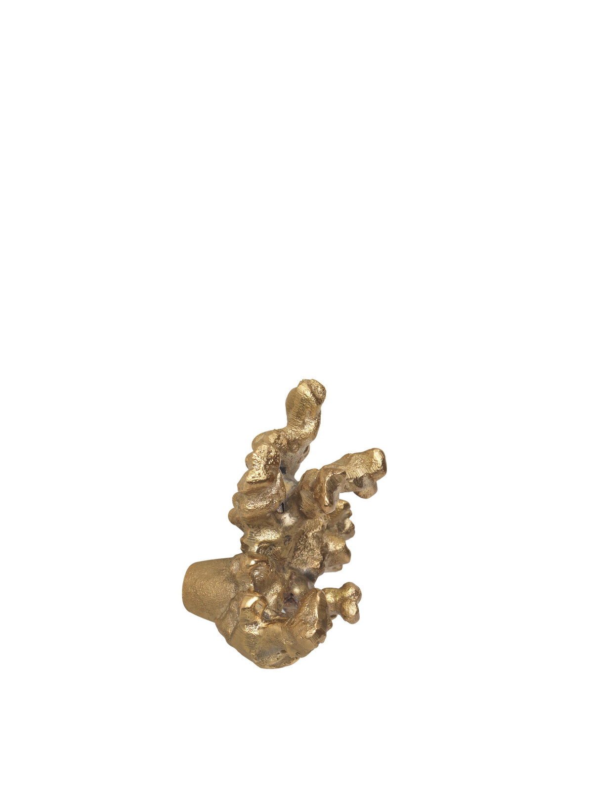 Comber Coral Branch Haken in Messing präsentiert im Onlineshop von KAQTU Design AG. Kleiderhaken ist von Ferm Living