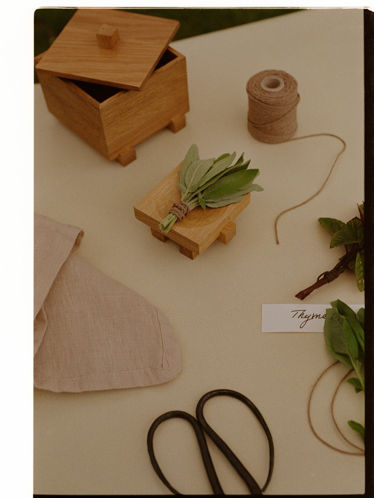 Bon Knoblauchbox in Natürliche Eiche präsentiert im Onlineshop von KAQTU Design AG. Küchenhelfer ist von Ferm Living
