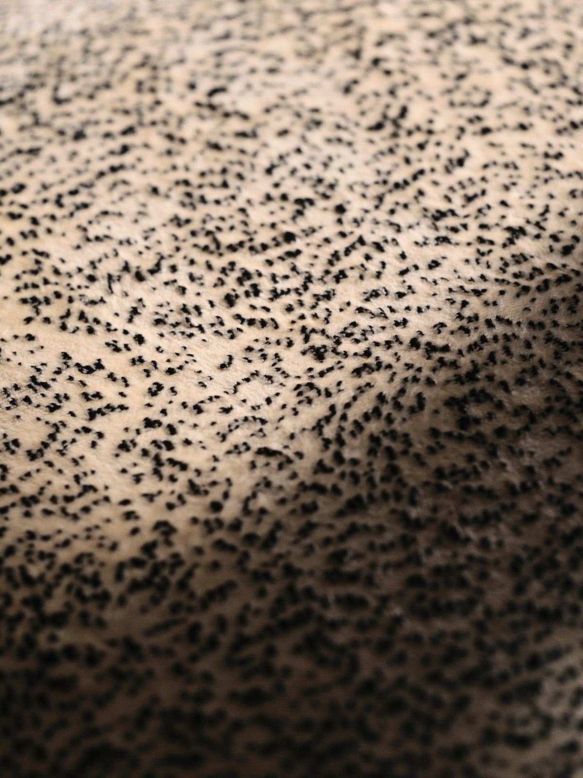 Foto eines Drehsessels Rico Lounge Piccolo von Ferm Living mit Bezug aus Poppy Velvet in Butter/Black, kompakte runde Form und Drehsockel.