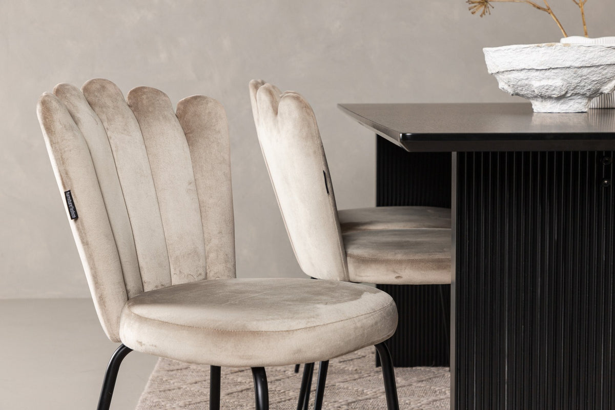 Esszimmerset aus rechteckigem MDF-Tisch in Rauchschwarz mit sechs Limhamn-Stühlen, beiger Samtbezug, muschelförmige Rückenlehne, schwarze Metallbeine.