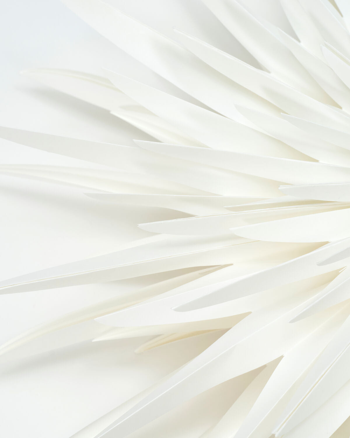 Stern, Dust in Off-White präsentiert im Onlineshop von KAQTU Design AG. Weihnachtszubehör ist von House Doctor