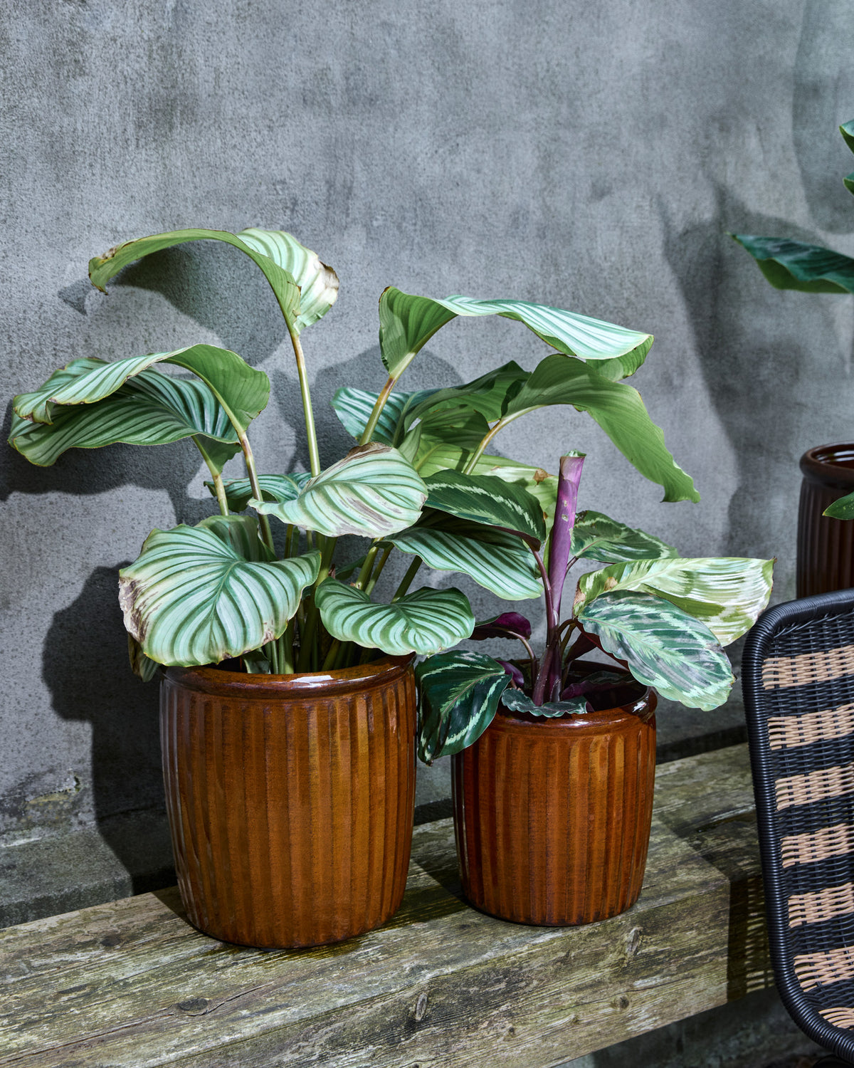 Blumentopf, HDGroove, Braun in Braun präsentiert im Onlineshop von KAQTU Design AG. Pflanzentopf Outdoor ist von House Doctor
