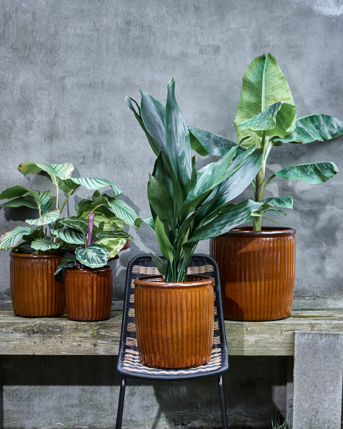Blumentopf, HDGroove, Braun in Braun präsentiert im Onlineshop von KAQTU Design AG. Pflanzentopf Outdoor ist von House Doctor