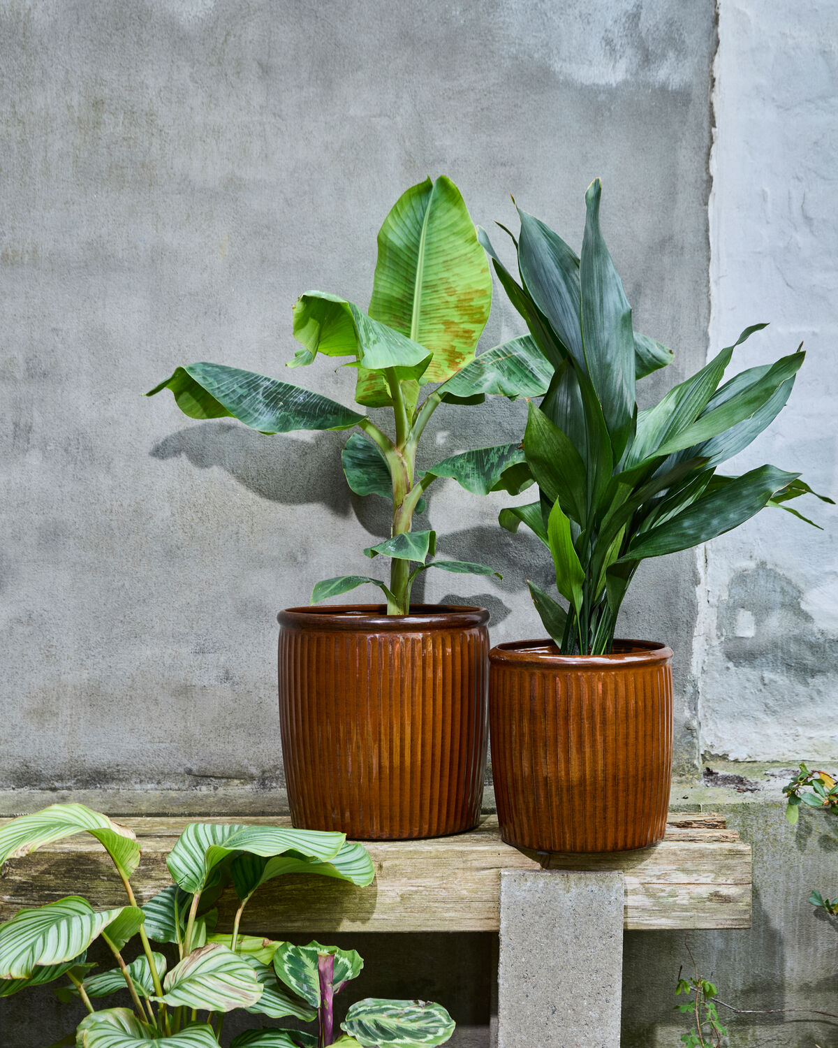 Blumentopf, HDGroove, Braun in Braun präsentiert im Onlineshop von KAQTU Design AG. Pflanzentopf Outdoor ist von House Doctor