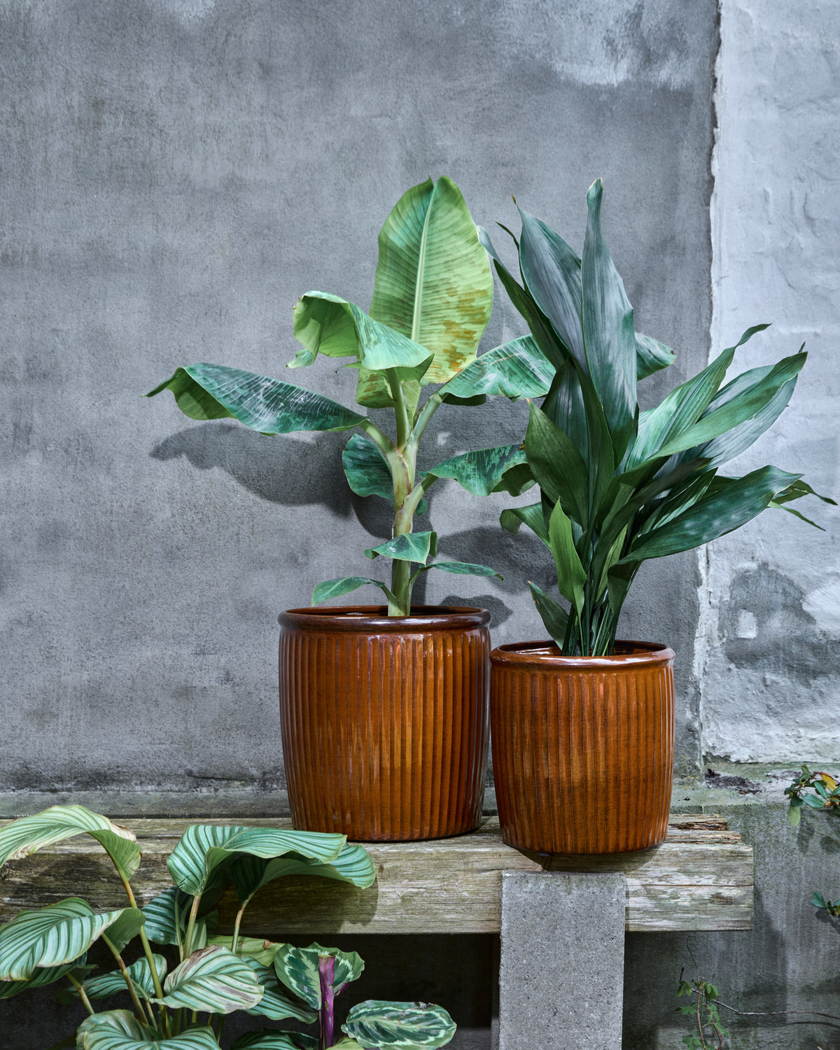 Blumentopf, HDGroove, Braun in Braun präsentiert im Onlineshop von KAQTU Design AG. Pflanzentopf Outdoor ist von House Doctor