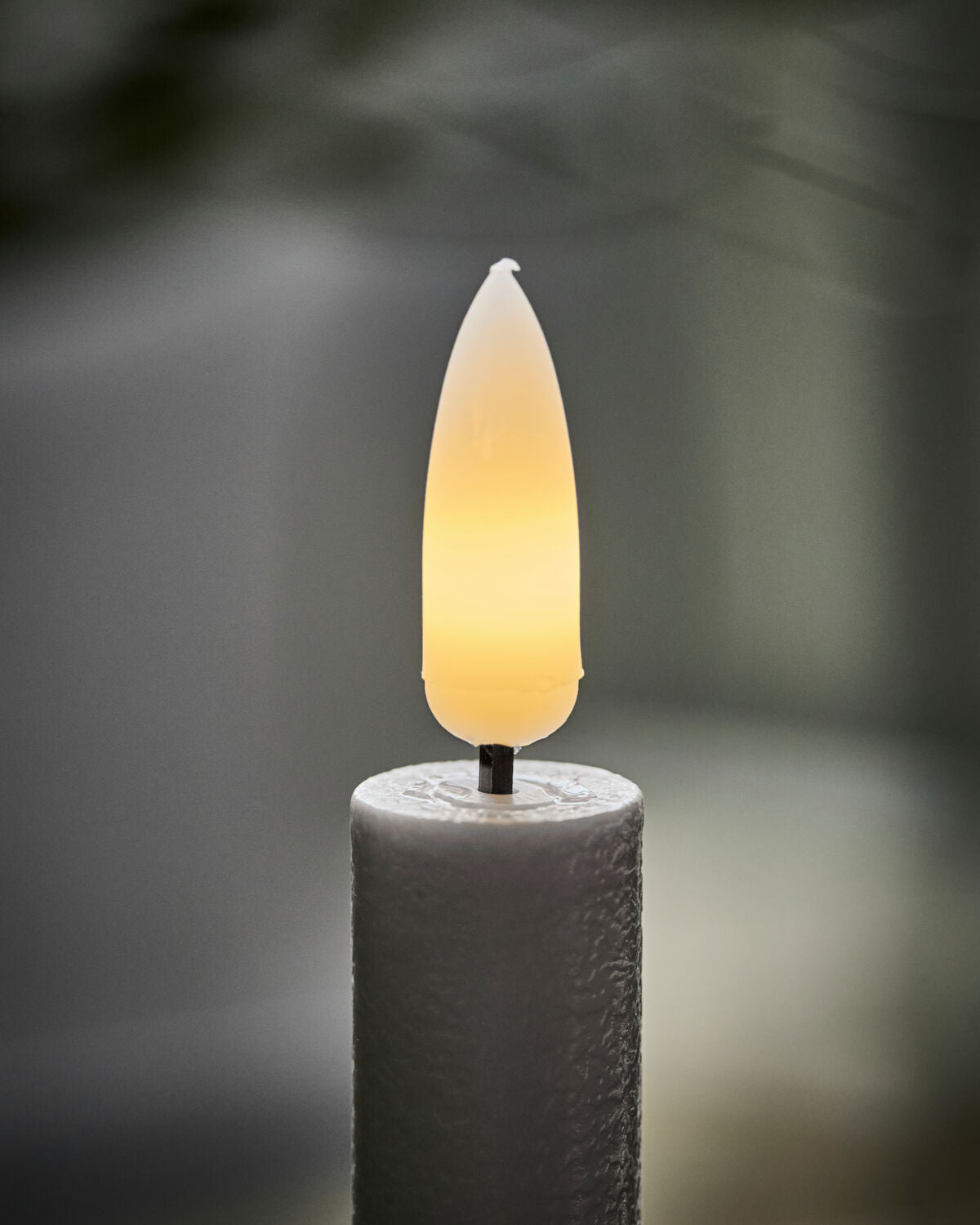 Kerzenständer, HDLeaves, Antikes Messing-Finish in Antikes Messing-Finish präsentiert im Onlineshop von KAQTU Design AG. Aufbewahrungskorb ist von House Doctor