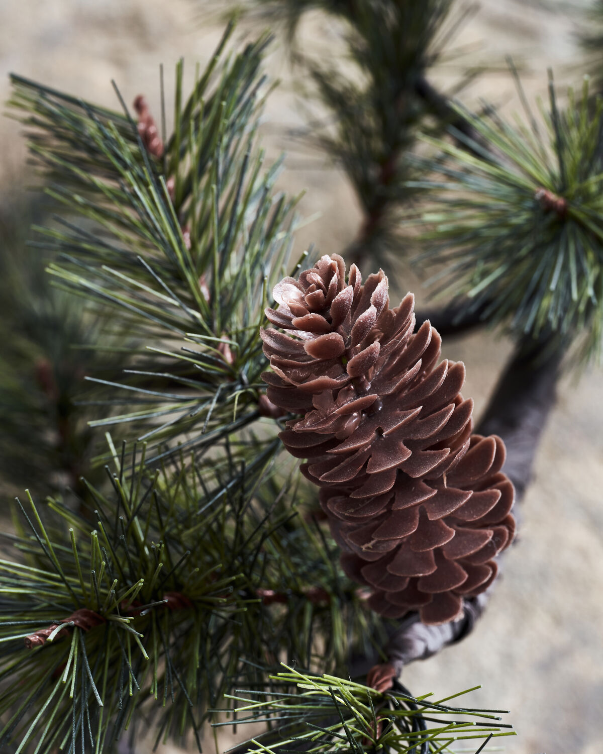 Eleganter Weihnachtszweig aus HDPeuce, der mit seiner natürlichen Ausstrahlung festliche Akzente setzt und für eine gemütliche Atmosphäre sorgt.