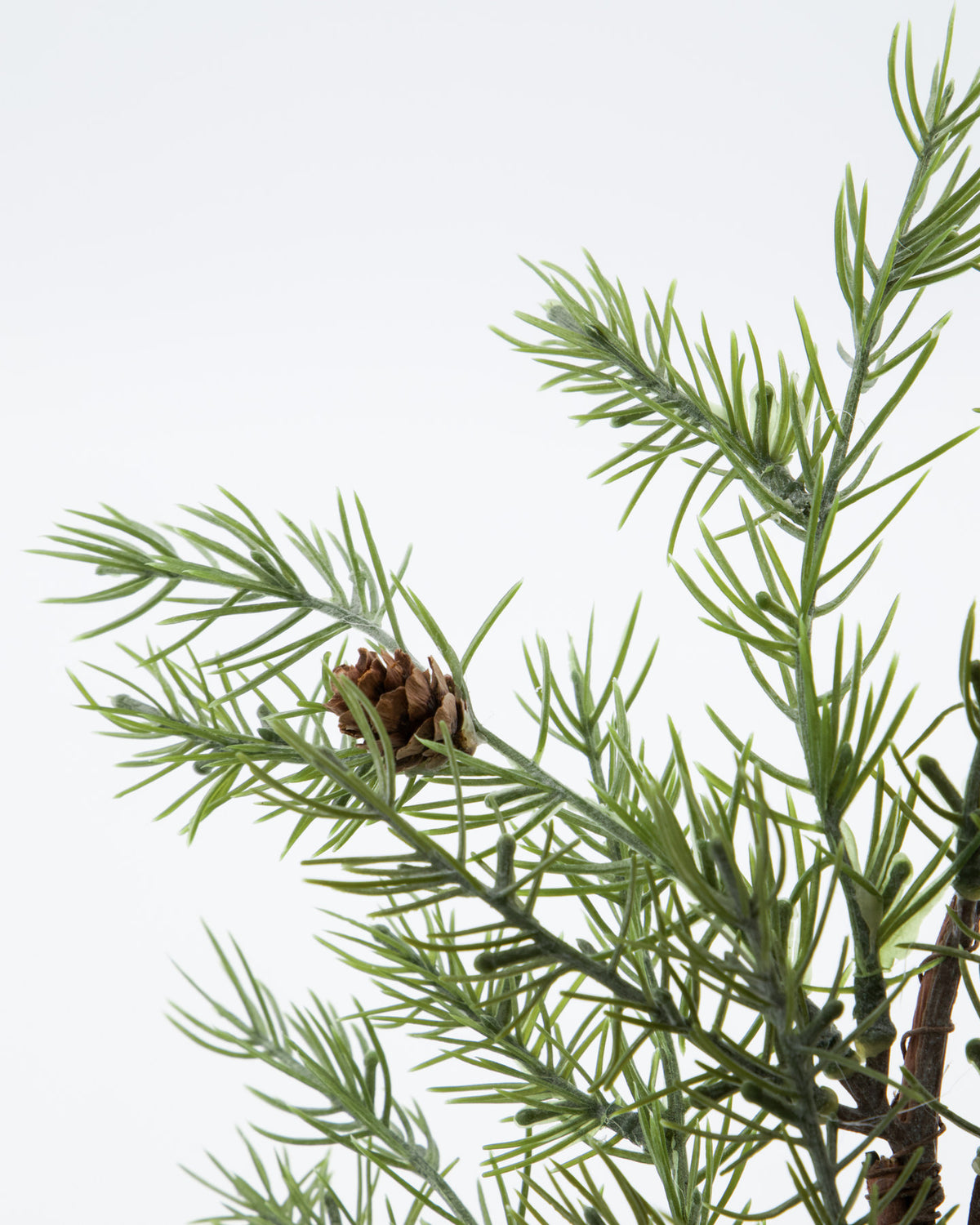 Kranz, HDFrost, Grün in Grün präsentiert im Onlineshop von KAQTU Design AG. Weihnachtskränze ist von House Doctor