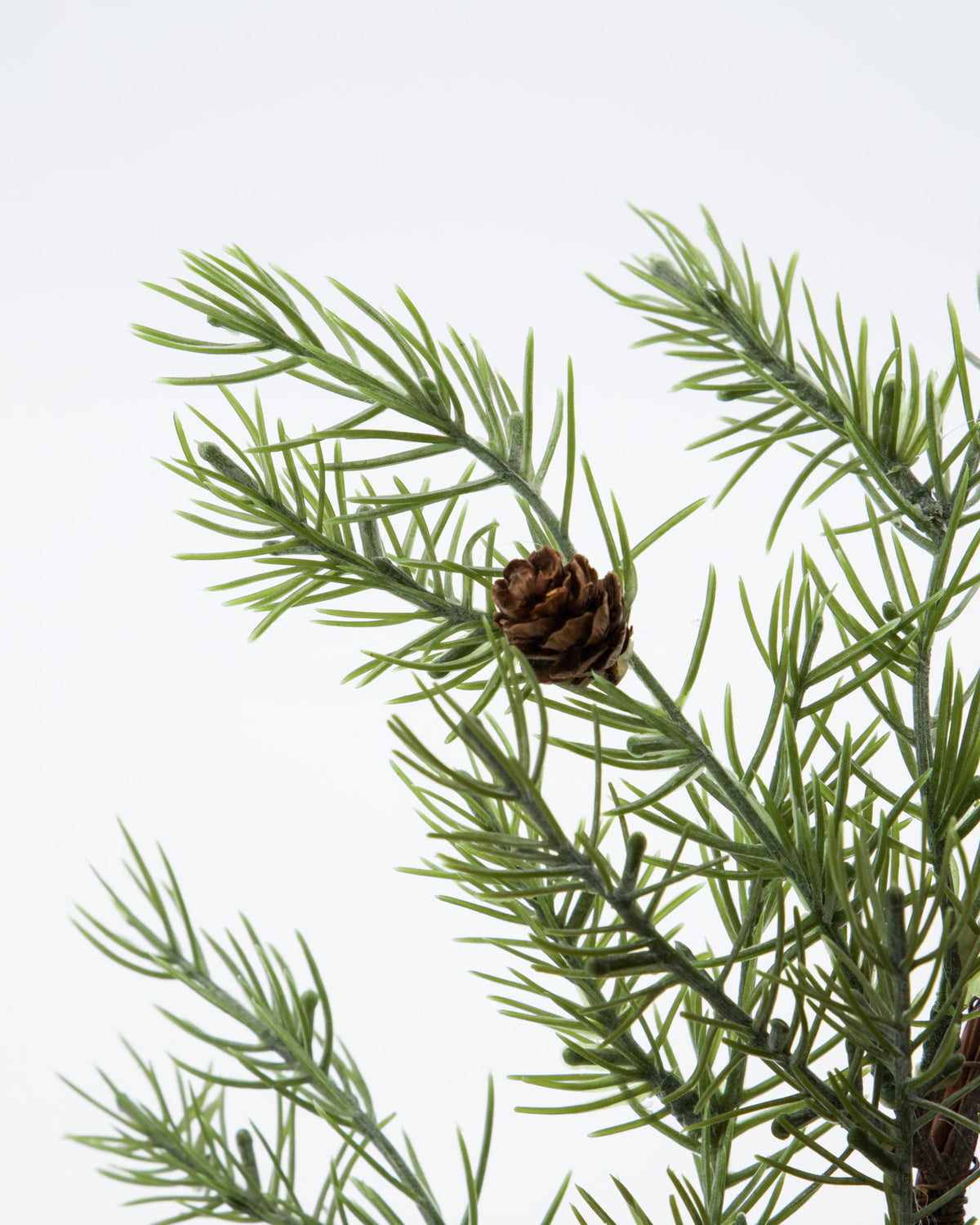 Kranz, HDFrost, Grün in Grün präsentiert im Onlineshop von KAQTU Design AG. Weihnachtskränze ist von House Doctor