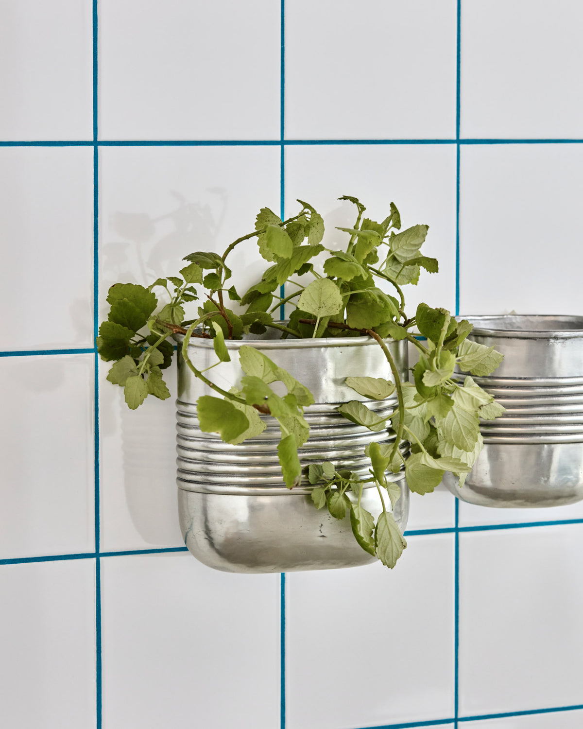 Pflanzer, HDGroove, Antiksilber-Finish in Antiksilber-Finish präsentiert im Onlineshop von KAQTU Design AG. Blumentopf ist von House Doctor