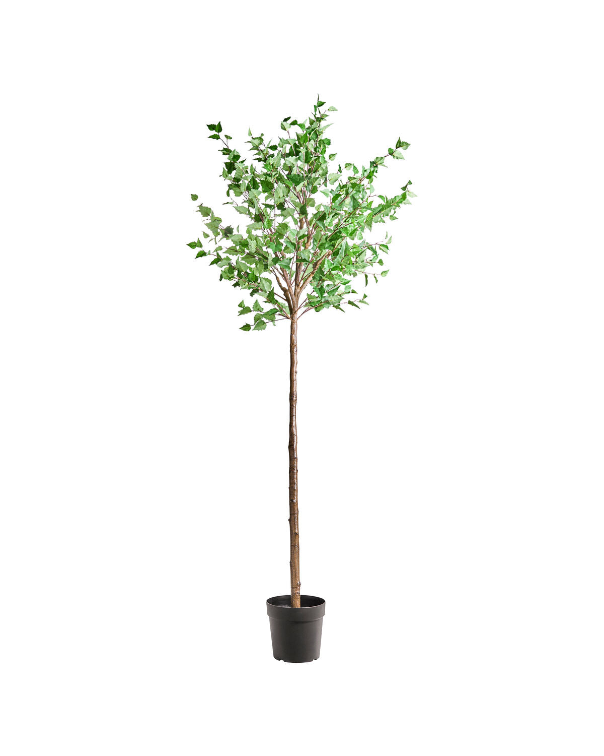 Künstliche Pflanze, HDHornbeam, Grün, Lila in Green präsentiert im Onlineshop von KAQTU Design AG. Kunstpflanze ist von House Doctor