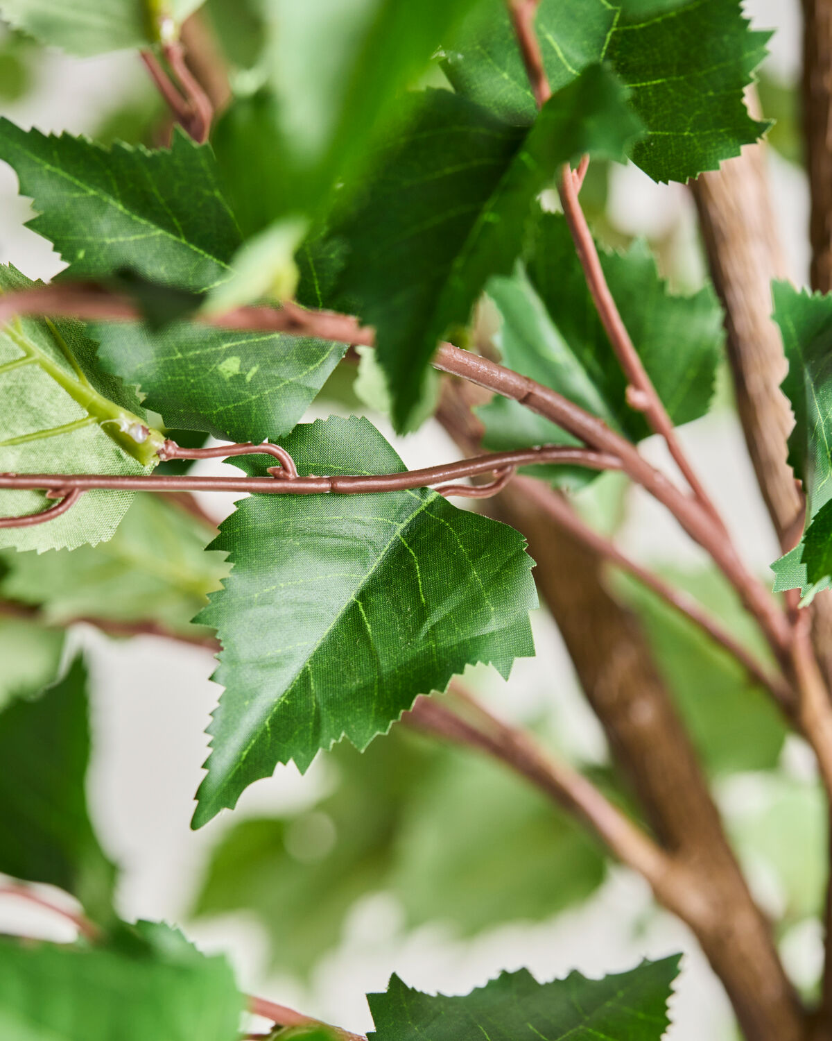 Künstliche Pflanze, HDHornbeam, Grün, Lila in Green präsentiert im Onlineshop von KAQTU Design AG. Kunstpflanze ist von House Doctor