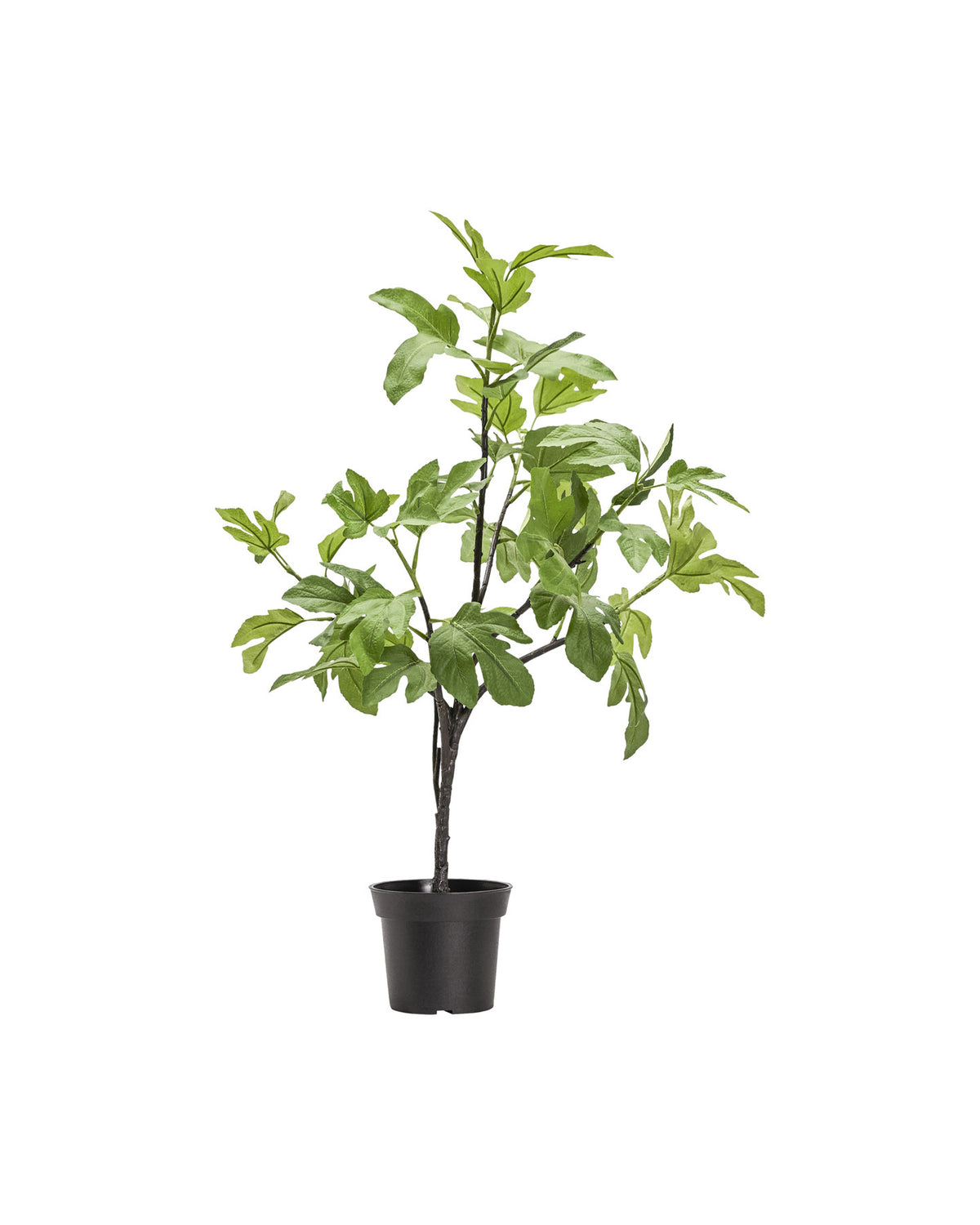 Künstliche Pflanze, HDFig, Grün in Green präsentiert im Onlineshop von KAQTU Design AG. Kunstpflanze ist von House Doctor