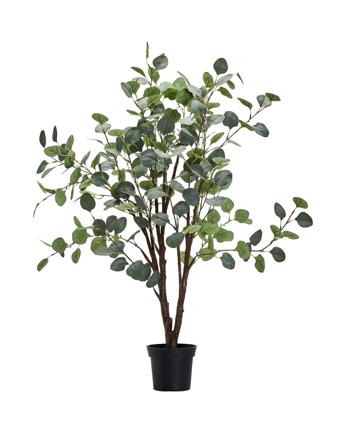 Künstliche Pflanze, HDEucalyptus, Grau, Grün in Grey präsentiert im Onlineshop von KAQTU Design AG. Kunstpflanze ist von House Doctor