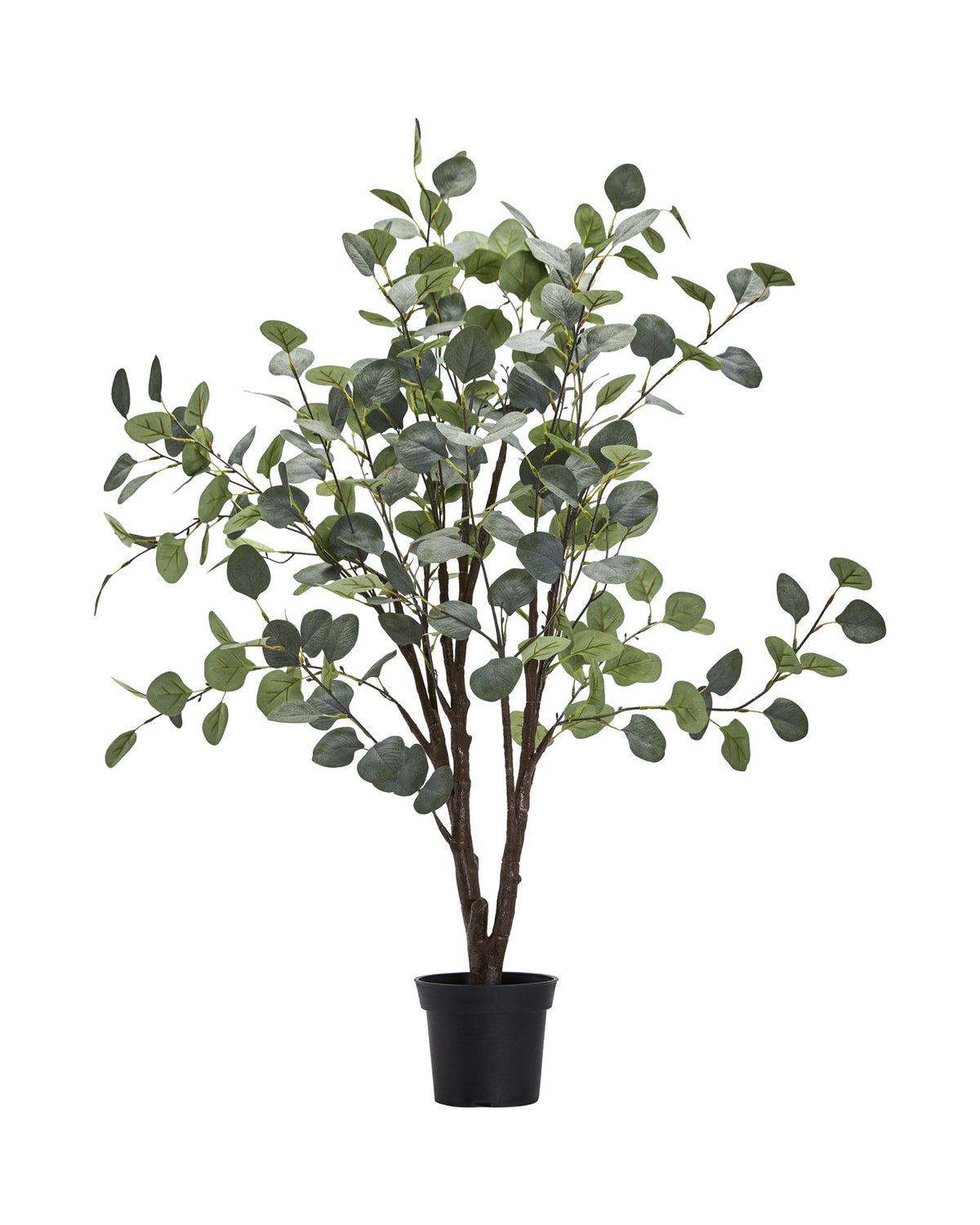 Künstliche Pflanze, HDEucalyptus, Grau, Grün in Grey präsentiert im Onlineshop von KAQTU Design AG. Kunstpflanze ist von House Doctor