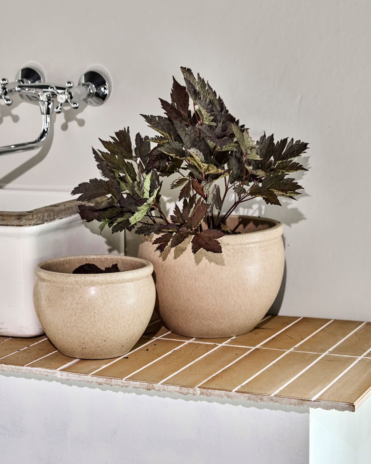 Eleganter beiger Blumentopf von House Doctor, ideal für stilvolle Pflanzenarrangements und moderne Wohnräume.