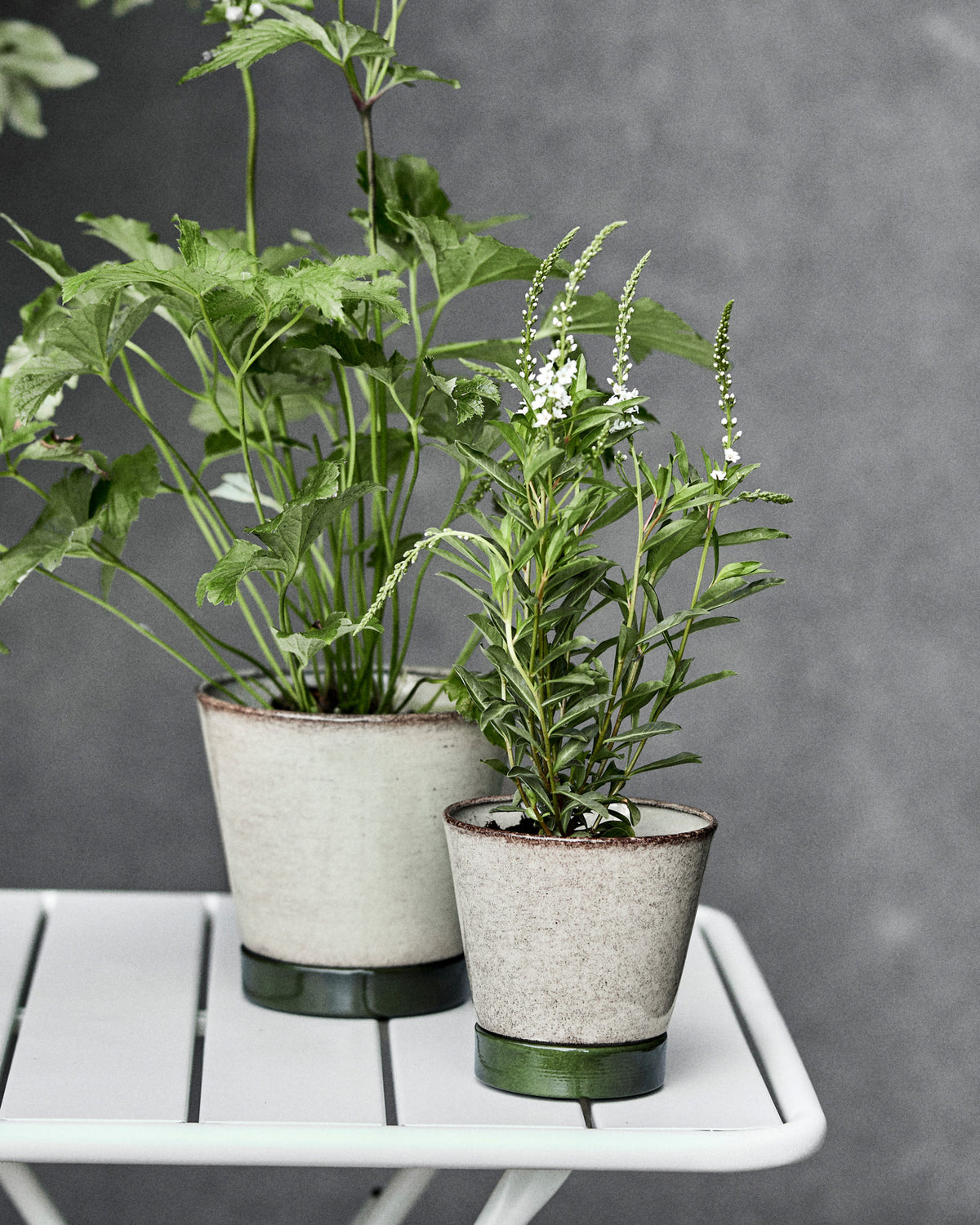Blumentopf, HDLima, Beige, Grün in Beige präsentiert im Onlineshop von KAQTU Design AG. Pflanzentopf Outdoor ist von House Doctor